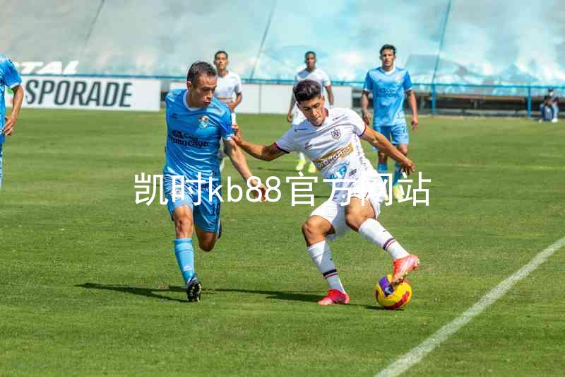 凯时kb88官方网站