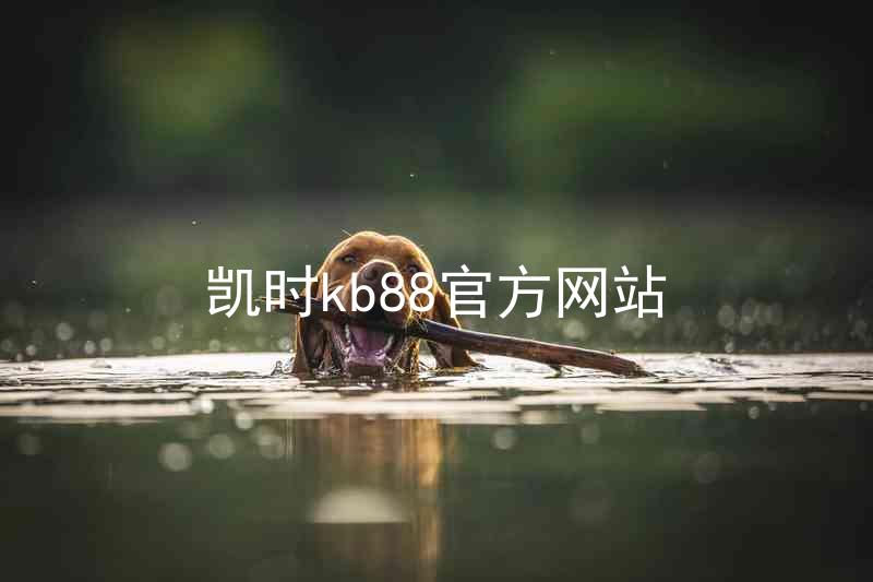 凯时kb88官方网站
