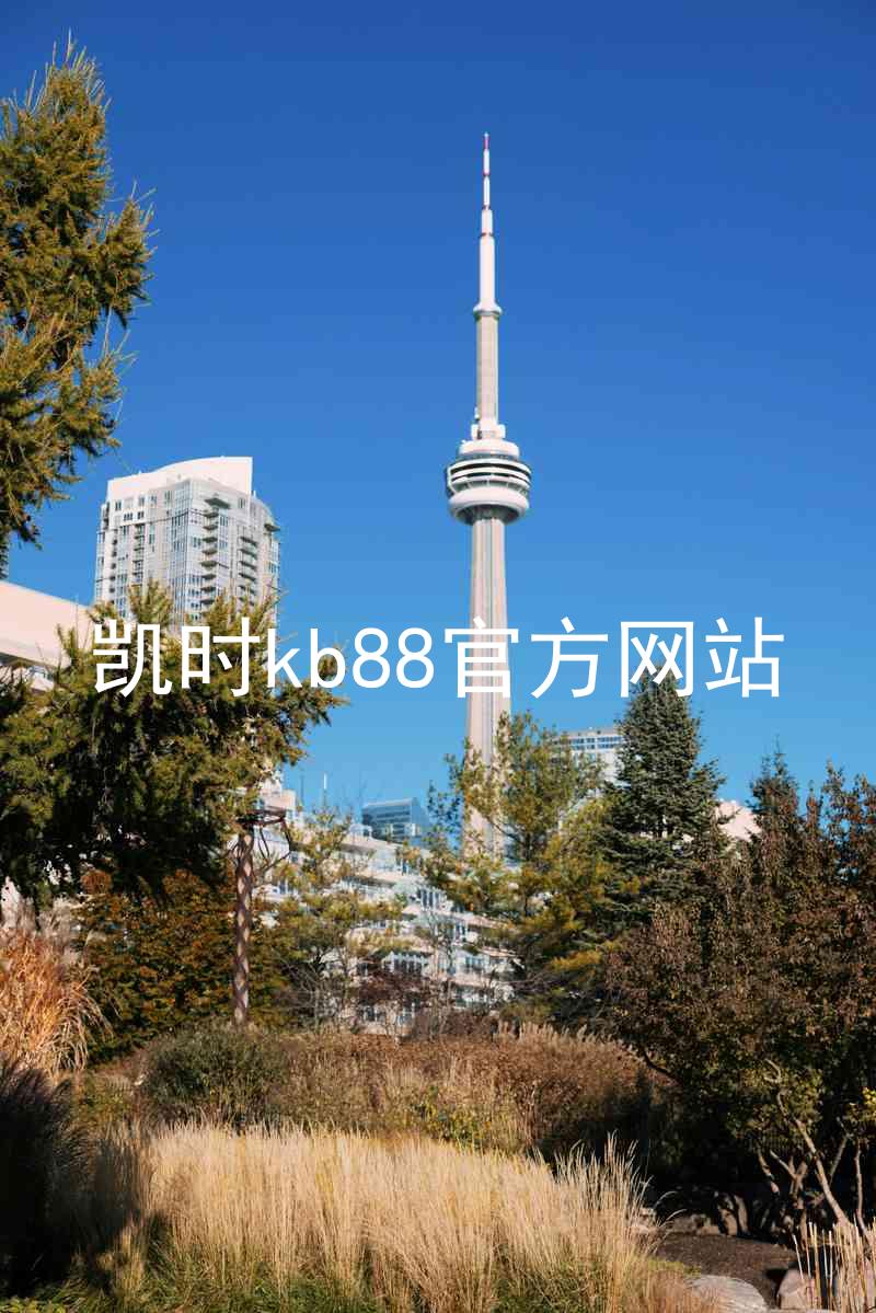 凯时kb88官方网站